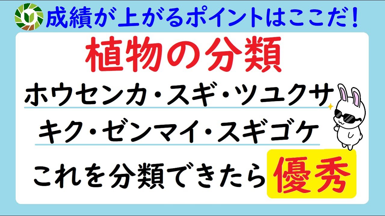 【成績UP間違いなし】植物の分類の総復習　全問答えられたらOK！