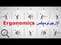 محاضرة الارجنوميكس : هندسة النشاط البشري (Ergonomics)