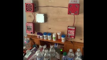 Board System Test 39 |Wheelock Mechanical Horns|