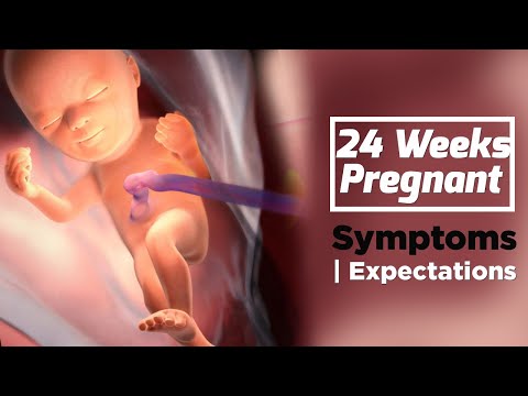 ვიდეო: ორსულობის 24 კვირაზე რა პოზაშია ბავშვი?