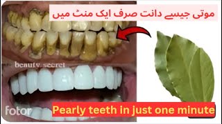 Transform Your Smile in 60 Seconds The Bay Leaf Miracle for Teeth Whitening &Tartar Removal at Home