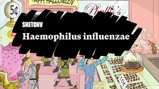 Haemophilus influenzae: Infection Fundamentals (Part 1) | Sketchy Medical | USMLE Step 1