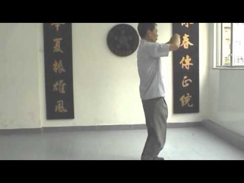 Wing Chun Grand Master Ng Wah Sum Biu Chee