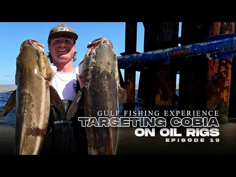 Cobia Fishing: Gulf of Mexico Oil Rig Fishing | Cobia Fishing in the Gulf | Landed Fishing