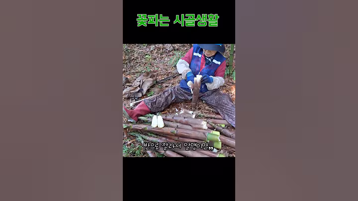 한적한 시골에서 대나무 죽순 요리 만들기 / 죽순 반찬 - 먹방 / 시골생활 브이로그  ASMR