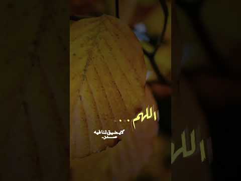 اللهم بك أصبحنا وعليك توكلنا