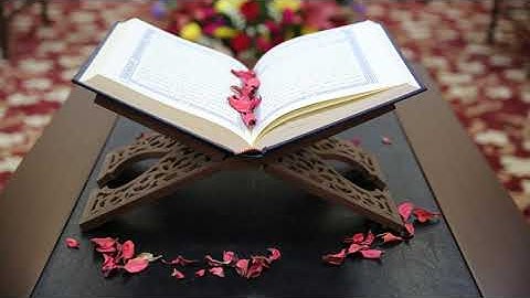 098 سورة البينة | مشاري العفاسي | بدون إعلانات