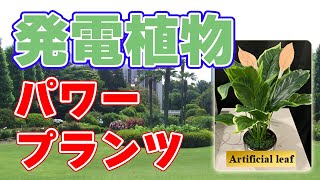 【113V】人工発電植物『パワープランツ』風と雨から発電！【67μA】