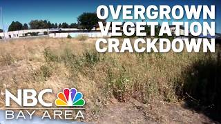 Santa Clara County cracks down on properties with overgrown vegetation