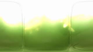 Koi Pond Underwater 360 with Kandao Qoocam Enterprise