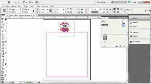 Adobe CS5 Design Workflow  LAYING IT ALL OUT WITH INDESIGN Using Master Pages & the Pages Tool