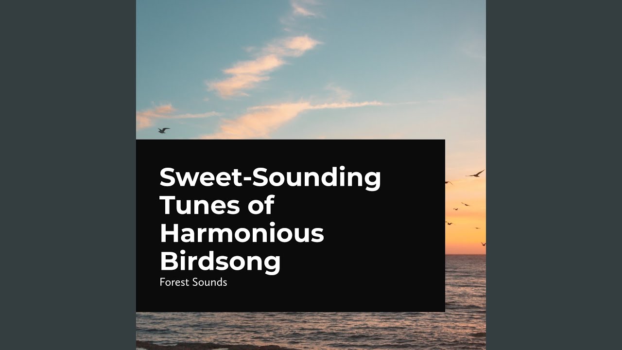 Watch Birds by the River on YouTube Watch Birds by the River on YouTube