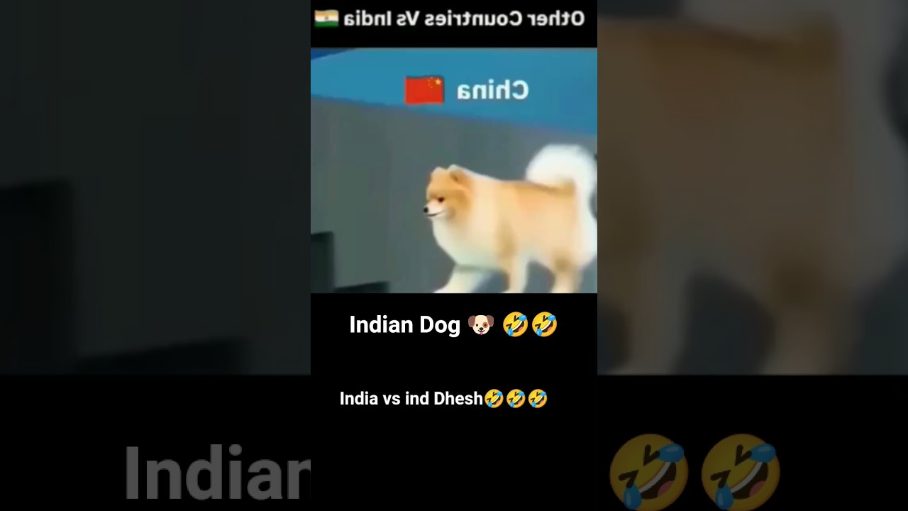 Dog 🐶🐕👍# And India vs And # Dhesh 🤣🤫🤣 And Comedy # A 👍👍🐕🐕