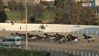 Vidéo de la course PMU PREMI CONSELL DE MALLORCA PER DAMES