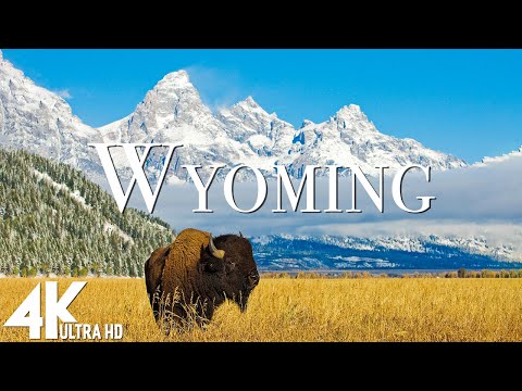 Wyoming Relaxation Film | Grand Teton National Park | Yellowstone with Ambient Music