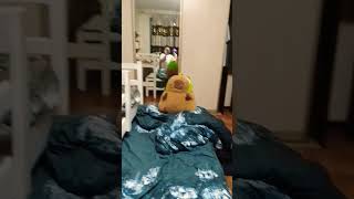 Я скинул мяч
