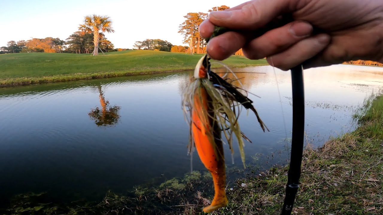 one hour bass fishing session with #6thsensefishing swimjigs