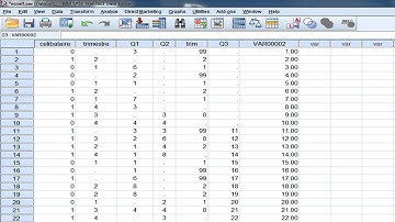 SPSS (tutoriel)/ Recodage des variables et sysmis( )