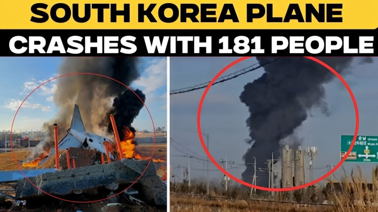 South Korea Plane Crash: Jeju Air Flight Crashes At South Korean Muan ...