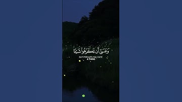 سورة البقرة [216]