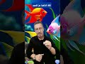 موقع لإزالة خلفيات الصور #application #مواقع