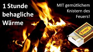 Chill mal - Kaminfeuer mit Knistern (1 Stunde MIT Sound/Ton)