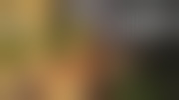 TRUST NO ONE • PROJECT ZOMBOID MULTIPLAYER