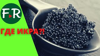 Россия икорная страна?! Дойная икра и забойная икра в чём разница? Китай на рынке чёрной икры