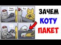 Лютые приколы. ЗАЧЕМ КОТУ ПАКЕТ?. угарные мемы