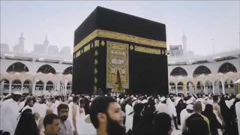 ماتيسر من سورة الأنبياء للقارئ عبدالرحمن الصاهود