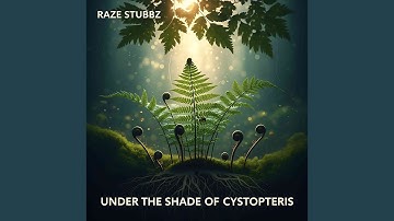 Under the Shade of Cystopteris