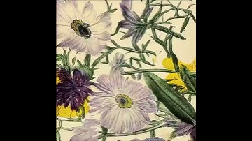 Network Bending Rotation Example