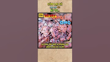 CÒN LẠI GÌ sau dịp TẾT ẤT TỴ..| Tin Đó Đây TV  #shorts #tindoday #tindodaytv