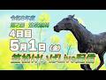 笠松けいばライブ配信R8.05.01