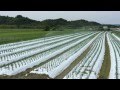 25㎜ホースセット/スーパーディフューザー