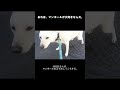 【白柴】おれは、マンホールが大好きなんだ。 #Shorts