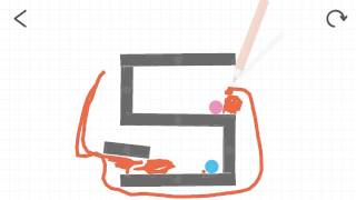 brain dots 511