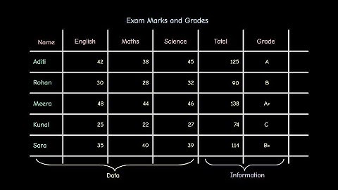 Understanding Tables: Rows, Columns, Cells, Data & Information (Simple Visual Guide)