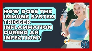 How Does The Immune System Trigger Inflammation During An Infection? - All About the Immune System