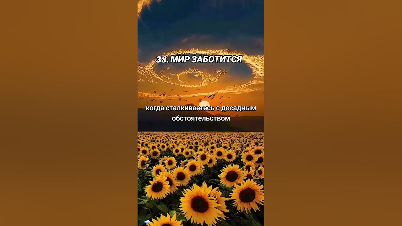 38. Мир заботится обо мне. Зеланд Трансерфинг реальности - YouTube