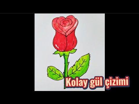 #gülçizimi, #kolayçizim, Kolay gül çizimi🌹Kandil kutlama için çizim ...