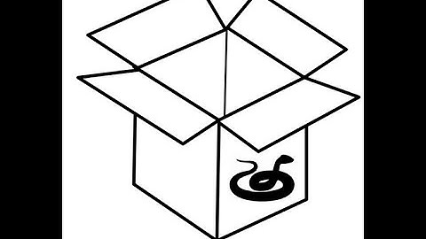 Mystery JKR Ball Python Unboxing