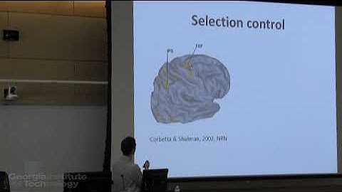 The Dynamics of Perceptual Decision Making