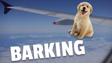 WHAT IS THE UNUSUAL BARKING SOUND THAT AIRBUS AIRCRAFT MAKE? PTU