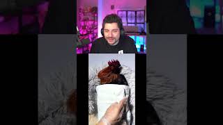 Horoza Ki̇şi̇sel Bakim Yapmak