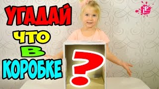 ✿ Весёлый Челлендж Угадай что в коробке???