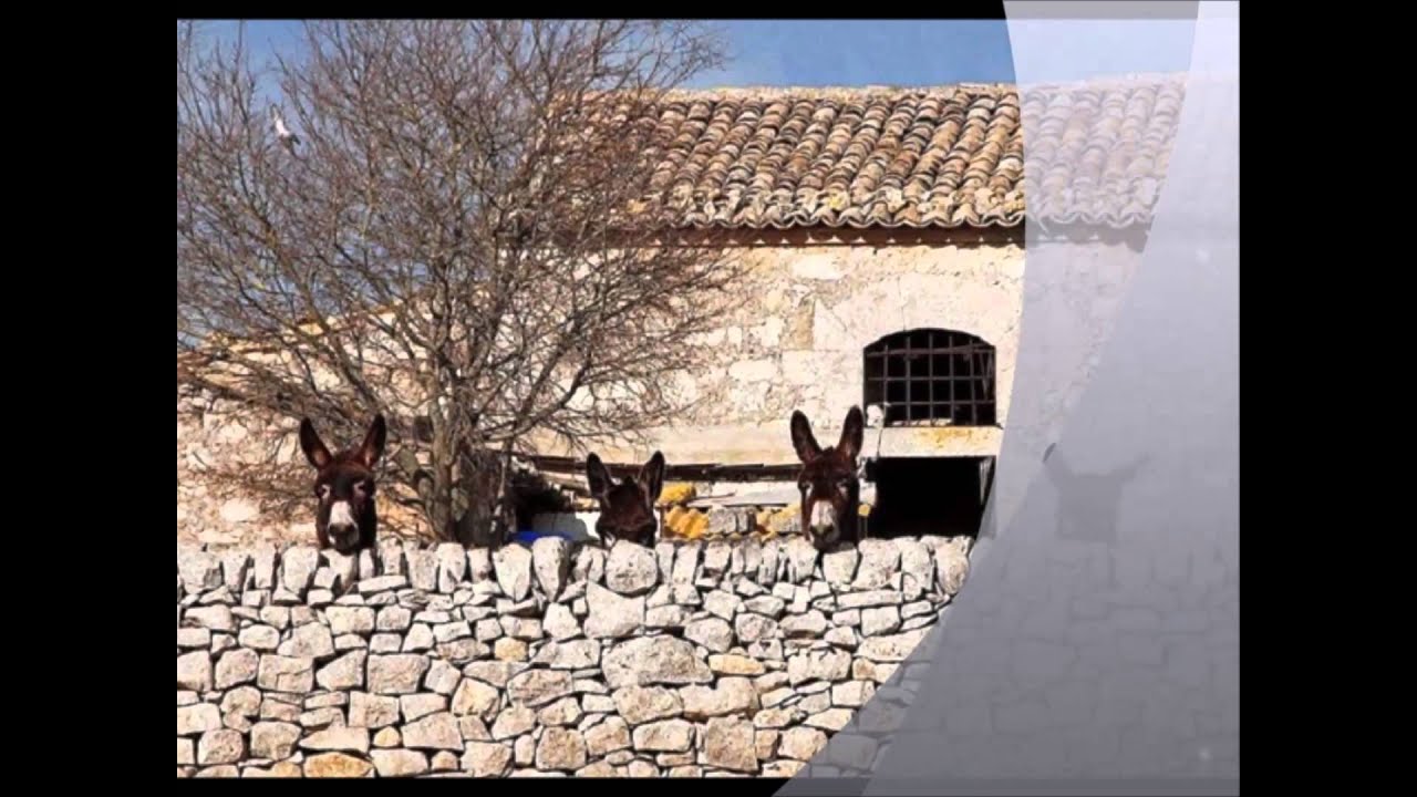 http://hrvatski-fokus.hr/wp-content/uploads/2016/12/i.ytimg_.com_vi_u5aMl5vR9Go_maxresdefault.jpg