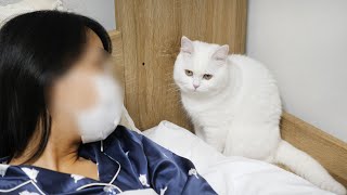 風邪で寝込んでいる妹にそっと寄り添ってくれる猫！