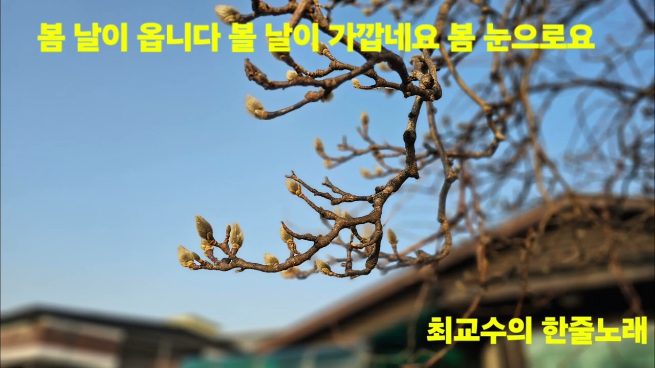 @봄날이 옵니다 볼날이가깝네요 @최교수의한줄노래