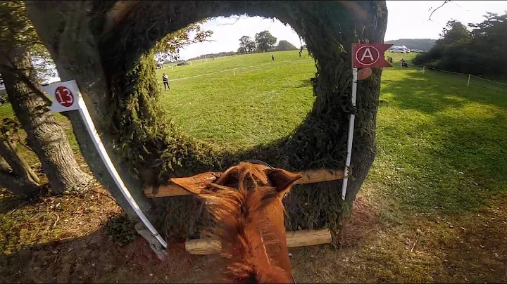 GoPro: Sharp Decision (CCI 3* -L | 2021 Maryland 5...